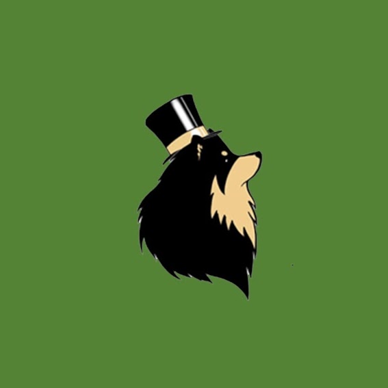 Dapper Dogs | 271 Grassie Blvd, Winnipeg, MB R2G 2L7, Canada | Phone: (204) 668-9663