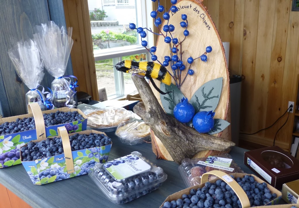 Le Bleuet des Champs | 178 QC-138, Longue-Rive, QC G0T 1Z0, Canada | Phone: (418) 587-3935