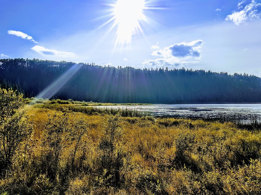 Jackfish Lake Provincial Recreation Area | Unnamed Road, Clearwater County, AB T0M 2H0, Canada | Phone: (877) 537-2757