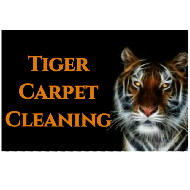 Tiger carpet care | 5495 Orchard Dr, East China, MI 48054, USA | Phone: (810) 420-0341
