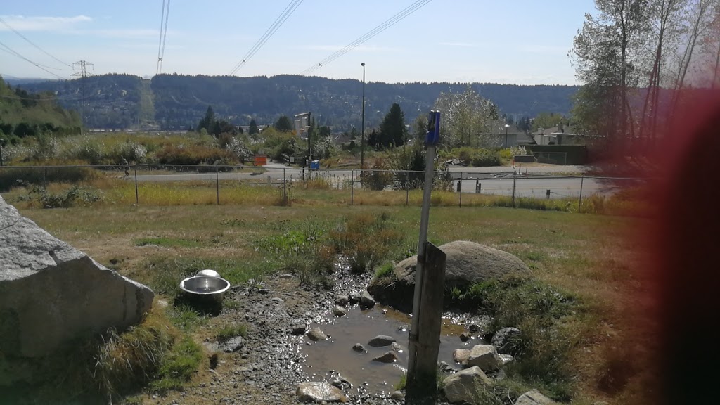 Bramble Park Off-Leash Area | 2641 David Ave, Coquitlam, BC V3E 2N5 David Ave, Coquitlam, BC V3E 2N5, Canada