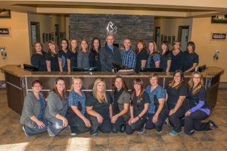 VCA Canada Calgary Trail Animal Hospital | 3803 Gateway Blvd NW #810, Edmonton, AB T6J 5M8, Canada | Phone: (780) 431-0140