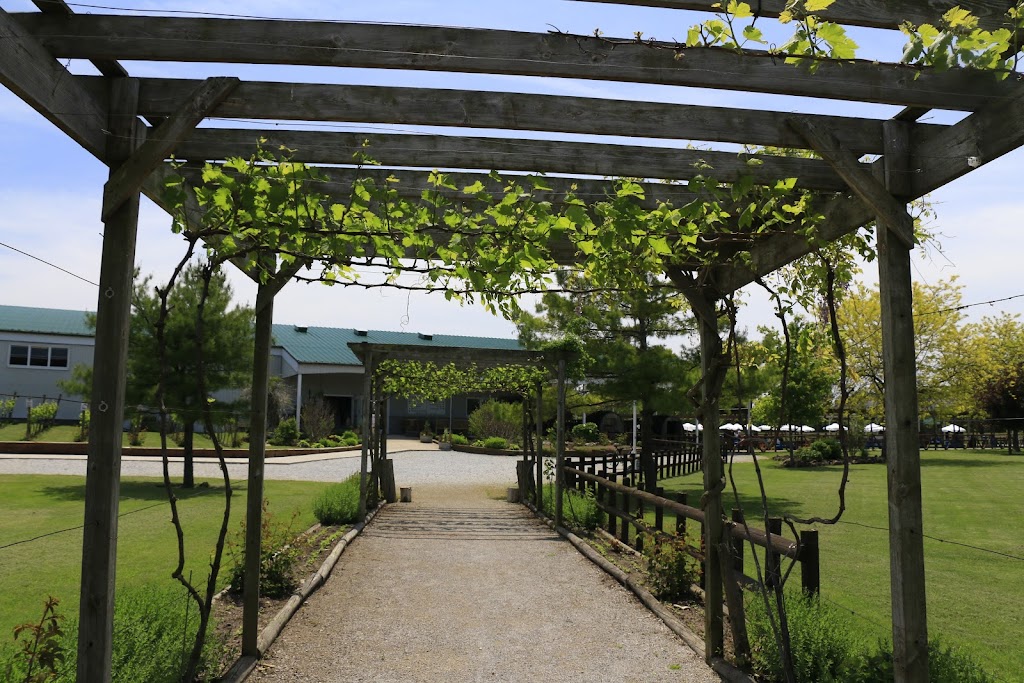 Pelee Island Winery Pavilion | 20 East West Rd, Pelee Island, ON N0R 1M0, Canada | Phone: (519) 724-2469