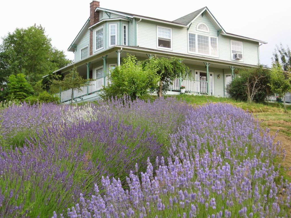 Back In Thyme Lavender and Country Gifts | 7247 Everett Rd, Ferndale, WA 98248, USA | Phone: (360) 303-5103