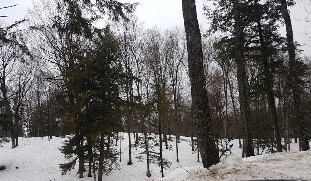 Parc de la Gatineau | 33 Chemin Scott, Chelsea, QC J9B 1R5, Canada | Phone: (613) 239-5000