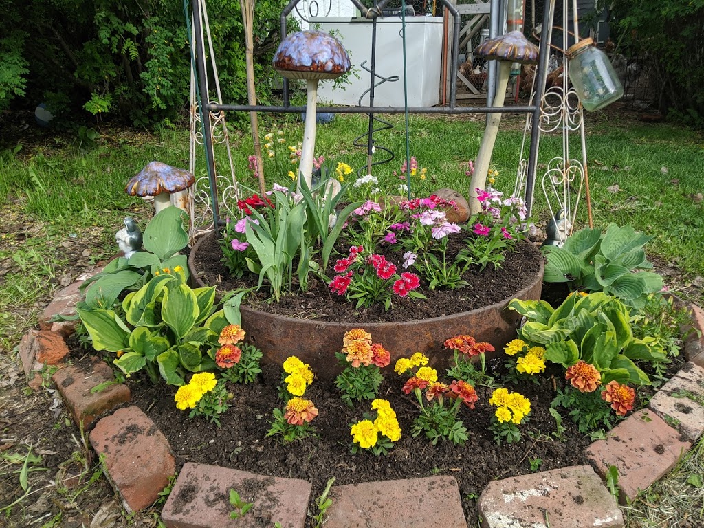 Diggers Greenhouse | 235014, AB-583, Three Hills, AB T0M 2A0, Canada | Phone: (403) 443-8474