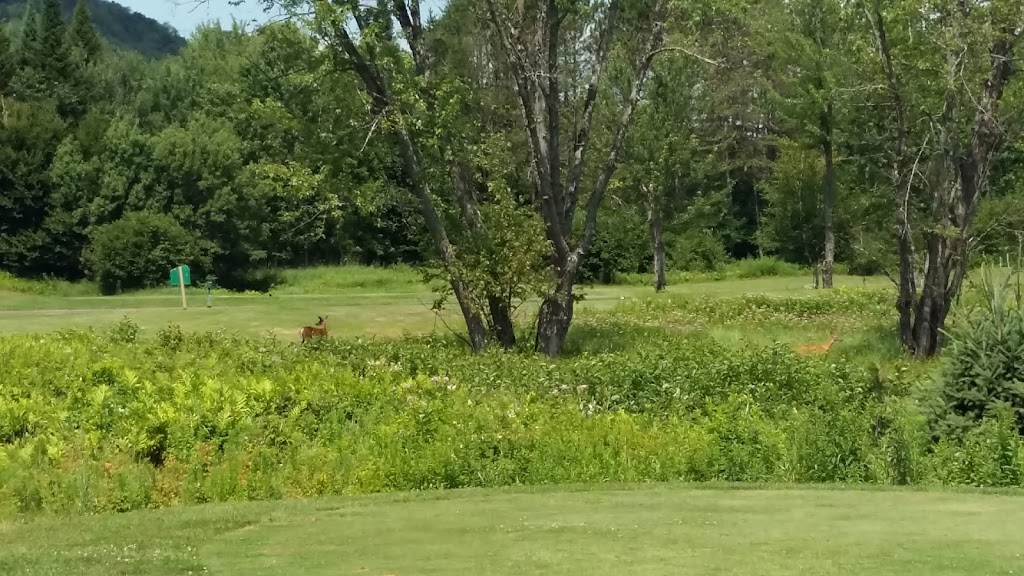 Golf Manitou | 251 Chemin Clément, Mont-Tremblant, QC J8E 1N8, Canada | Phone: (819) 681-7977