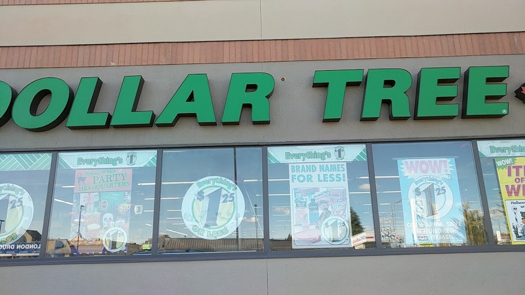 Dollar Tree | 15061 Stony Plain Rd, Edmonton, AB T5P 4W1, Canada | Phone: (780) 444-5888