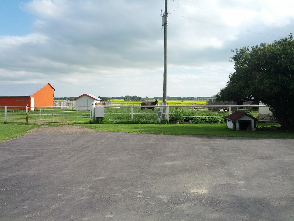 Cool Spring Farm | 1047, Township Rd 342, Bowden, AB T0M 0K0, Canada | Phone: (403) 224-3298