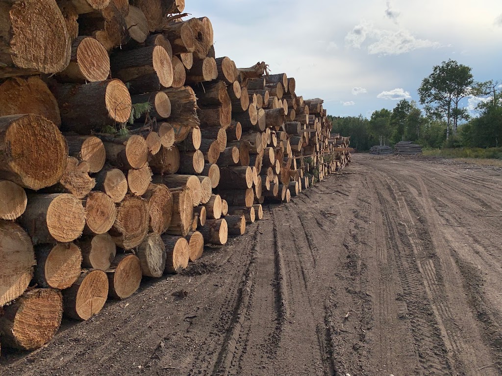 Murray Brothers Lumber Co Ltd | 24749 ON-60, Madawaska, ON K0J 2C0, Canada | Phone: (613) 637-2840