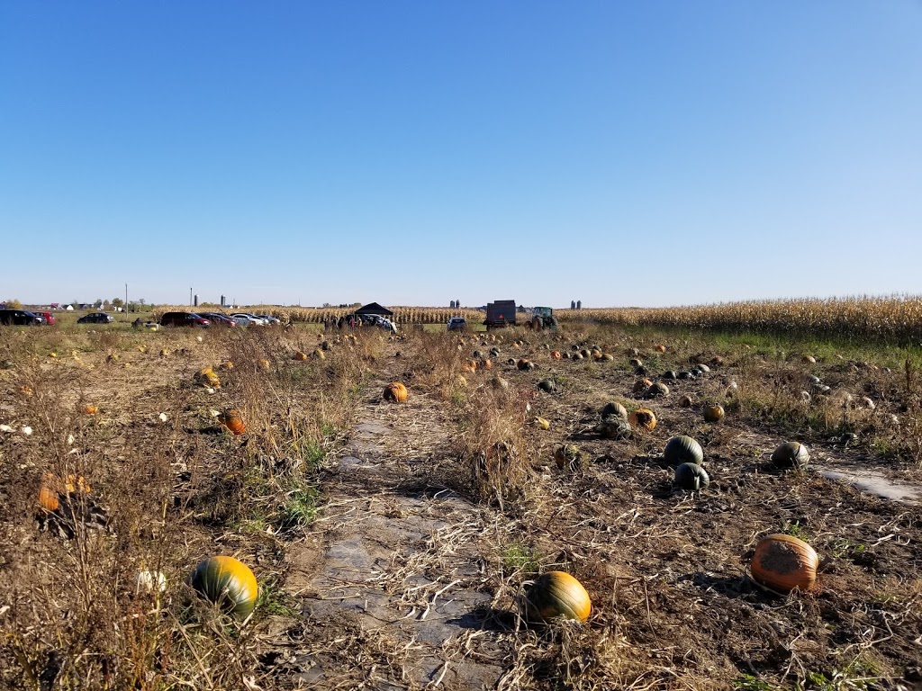 Reine des Prés - Laiterie BIO | 210 Rang de la Rivière Blanche, Saint-Alban, QC G0A 3B0, Canada | Phone: (819) 473-2310