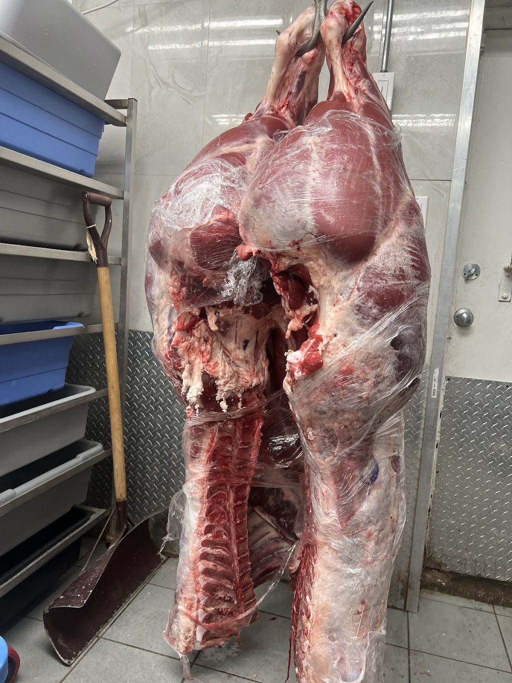 Holstock Farms LTD | 89615 Howick Minto Townline, Harriston, ON N0G 1Z0, Canada | Phone: (519) 580-1323