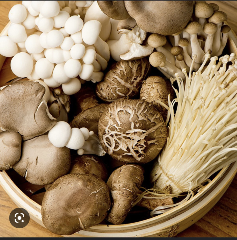 portperrymushrooms | 2360 Puckrin Dr, Seagrave, ON L0C 1G0, Canada | Phone: (416) 509-7127
