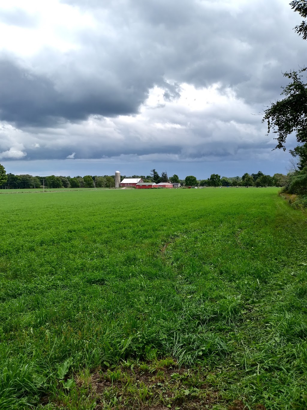 Riverbend Acres | 906786 Township Rd 12, Bright, ON N0J 1B0, Canada | Phone: (519) 504-8340