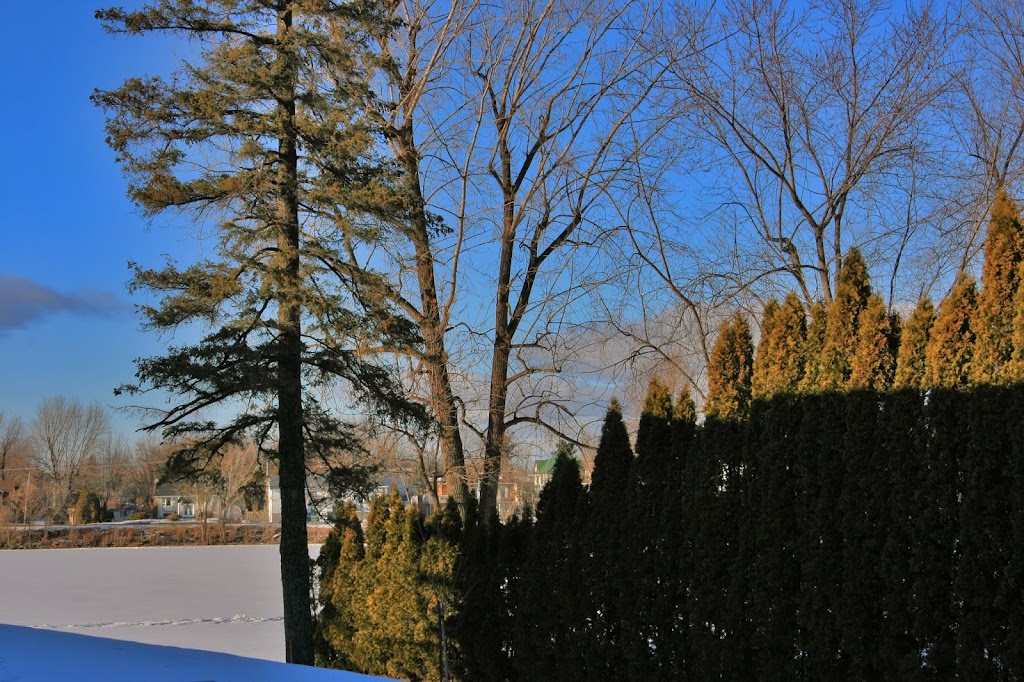 Otterburn Boating Club | 85 Rue dOxford, Otterburn Park, QC J3H 2M6, Canada | Phone: (450) 536-0303 ext. 958