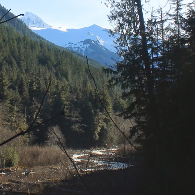 Mt Baker Vacation Cabin ~ The Francis Cabin | Grouse Ln, Deming, WA 98244, USA | Phone: (360) 599-3111
