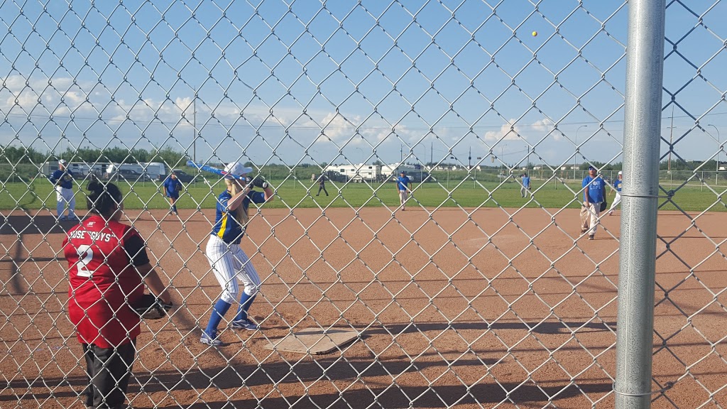 Henry Singer Park | 14940 142 St NW, Edmonton, AB T6V 1H9, Canada | Phone: (780) 443-6016