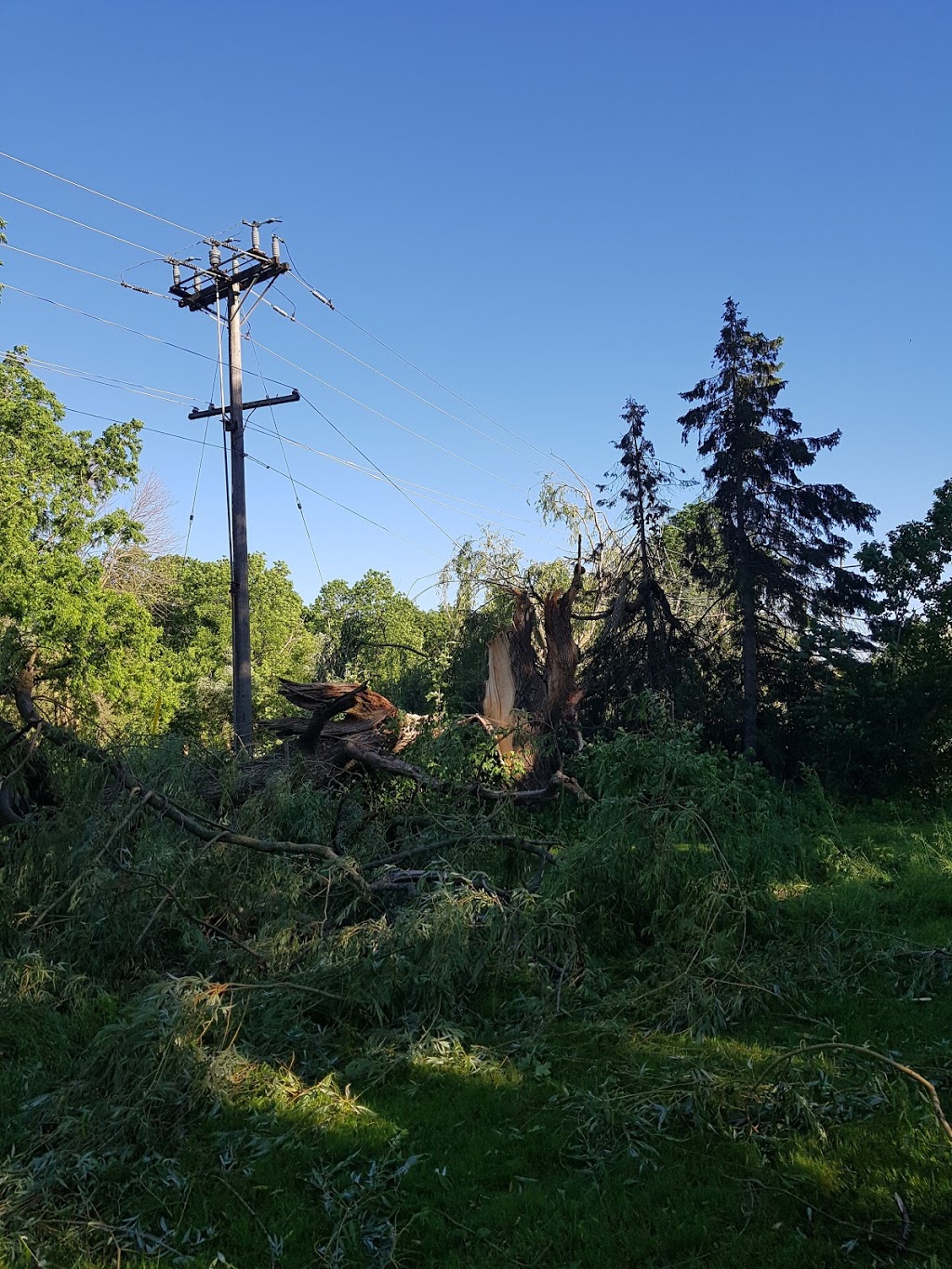 Harold Bishop Park | 13 North Court St W, Norwich, ON N0J 1P0, Canada