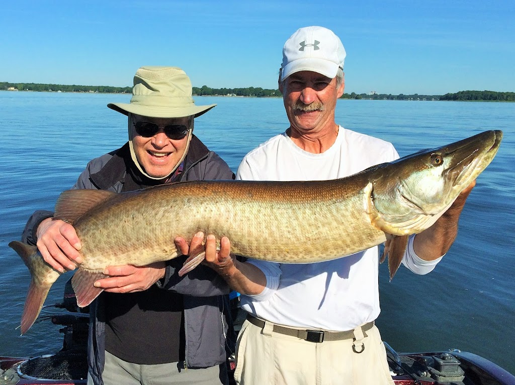 Advanced Bassin Plus | 210 Rue Sommerset, Dollard-des-Ormeaux, QC H9G 2G8, Canada | Phone: (514) 696-1741
