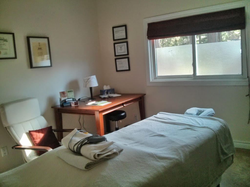 Sleegers Massage Therapy | 3 Pineview Ave, Anten Mills, ON L0L 1Y2, Canada | Phone: (705) 970-3090