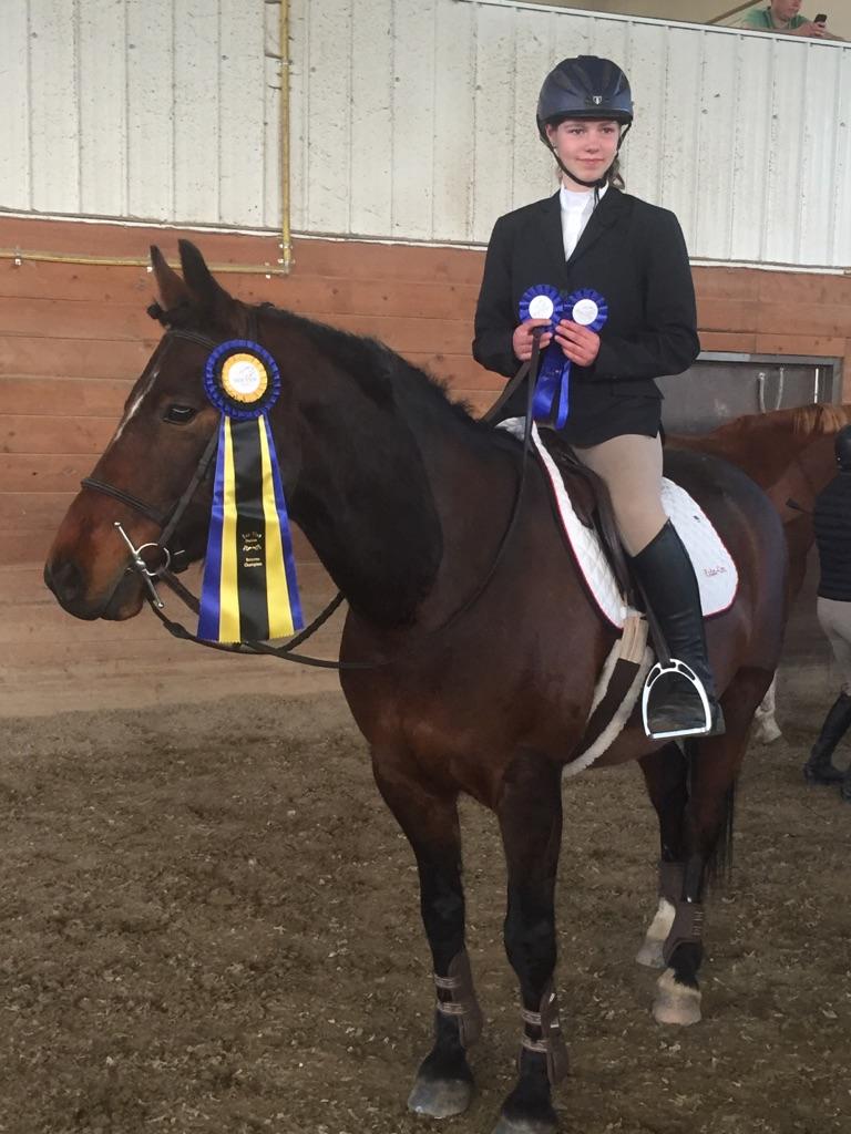 Tristar Equestrian Centre Hunter/Jumper/Eventing | 271104, Range Rd 20, Airdrie, AB T0B 2A3, Canada | Phone: (403) 948-7472