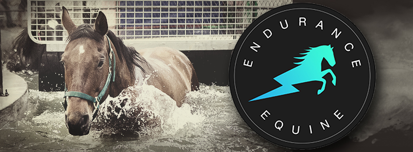 Endurance Equine | 442052 RR252, Ponoka, AB T4J 1R2, Canada | Phone: (403) 505-3046