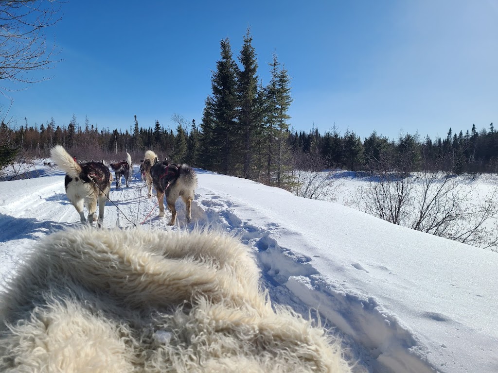 Chalets Villégiature et Pourvoirie Daaquam | 47 Rue des Moulins, Saint-Just-de-Bretenières, QC G0R 3H0, Canada | Phone: (418) 244-3442