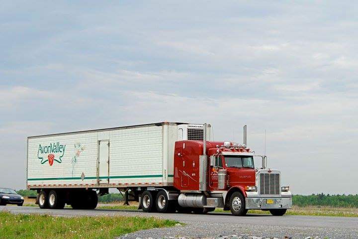 G K Morse Trucking Ltd | 226 Ira Bill Rd, Centreville, NS B0P 1J0, Canada | Phone: (902) 678-3902