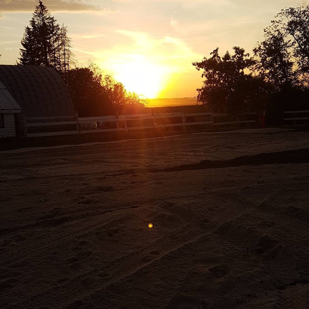 KELJDO STABLES | 7215 34 St SW, Edmonton, AB T6X 2R9, Canada | Phone: (780) 238-1955