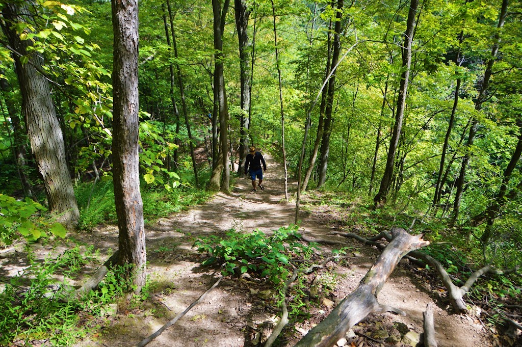Chedoke Falls | Cliff View Park Scenic Dr &, Upper Paradise Rd, Hamilton, ON L9C 1G5, Canada | Phone: (905) 546-2424