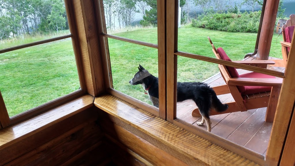 Tsuniah Lake Lodge Airport | Cariboo J, BC V0L 1X0, Canada | Phone: (888) 878-6424