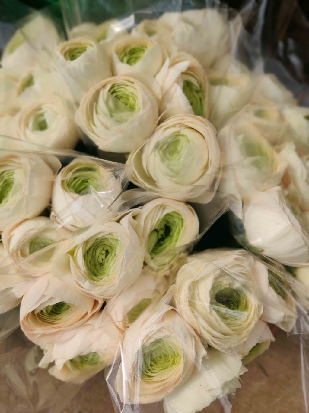 Waymar Flowers Ltd | 4181 Twenty-First St, Vineland Station, ON L0R 2E0, Canada | Phone: (905) 228-0906