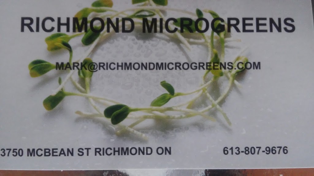 Richmond Microgreens | 3750 McBean St, Richmond, ON K0A 2Z0, Canada | Phone: (613) 807-9676