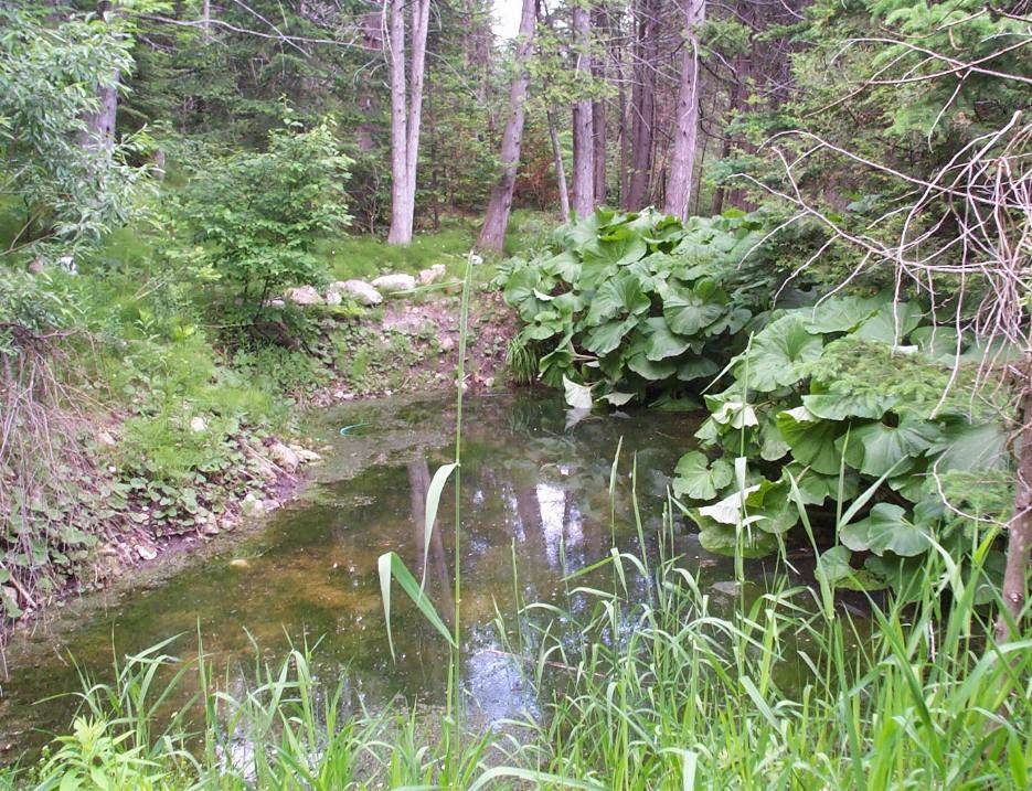 The Stream Bed & Breakfast | 307162 Hockley Rd, Mono, ON L9W 6N6, Canada | Phone: (519) 941-3392