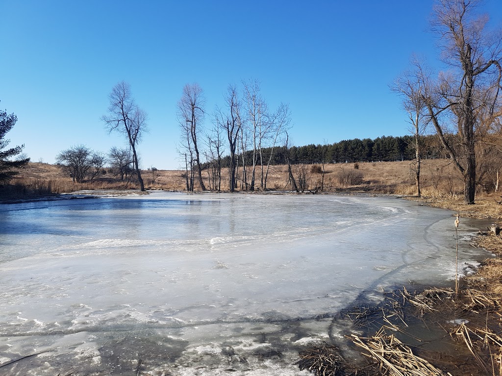 Nashville Conservation Reserve | Ontario, Canada