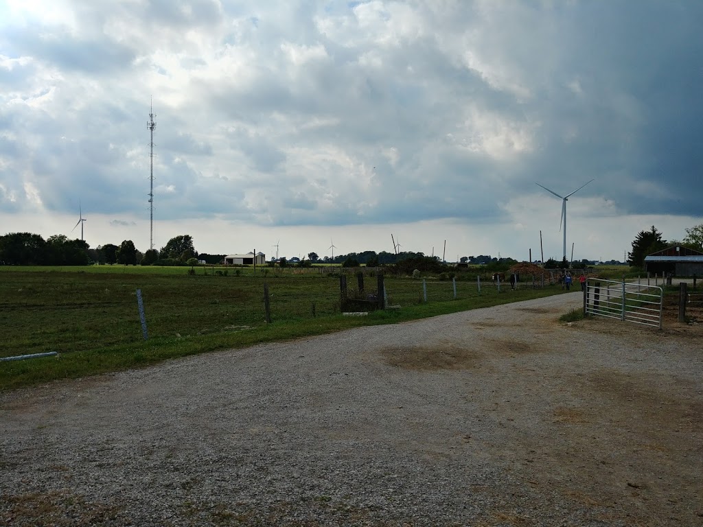 Beyond The Trail | 7186 9 Line, Chatham, ON N7M 5J6, Canada | Phone: (226) 626-0936