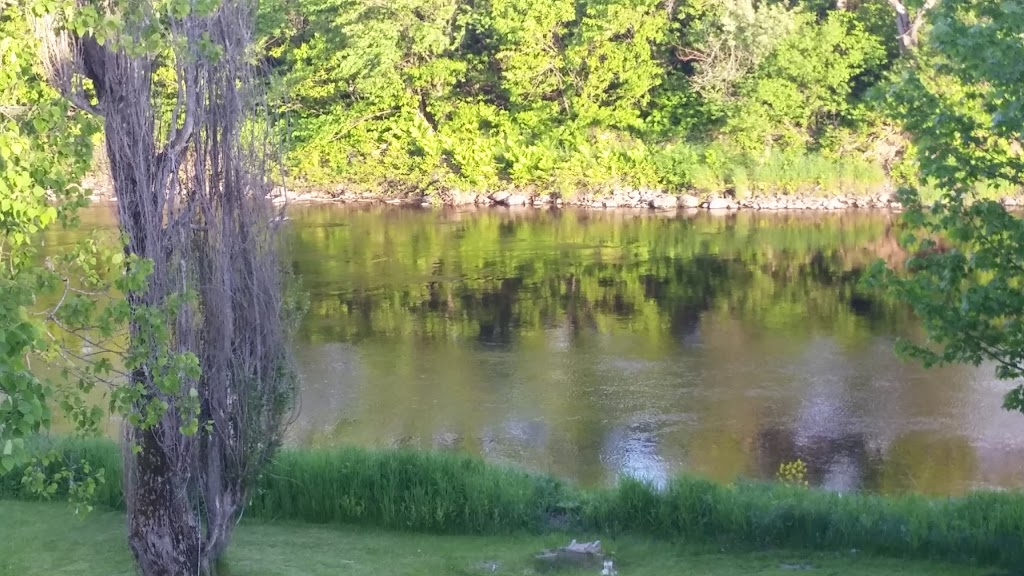 St-Etienne Fleuriste | 3789 Route des Rivières, Saint-Étienne-de-Lauzon, QC G6J 0C2, Canada | Phone: (418) 831-5005