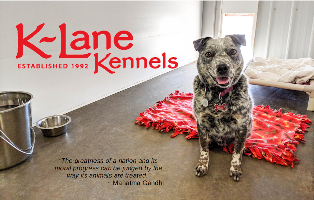 K-Lane Kennels | Box 172, Kronau, SK S0G 2T0, Canada | Phone: (306) 781-2774