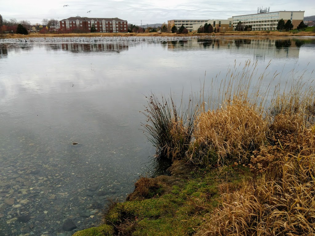 Kennys Pond Park | Kennys Pond Walk, St. Johns, NL A1A 0E4, Canada