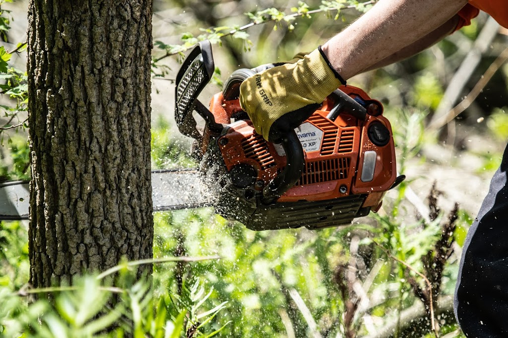 McFarlan Tree Care Inc. | 572 Huron Dr, Burlington, ON L7T 3V5, Canada | Phone: (905) 516-4453