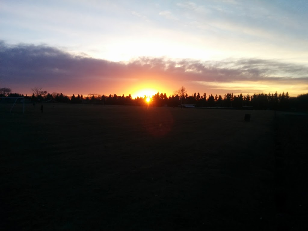 Salisbury Park Rink | 85 Salisbury Ave, St. Albert, AB T8N 0M7, Canada
