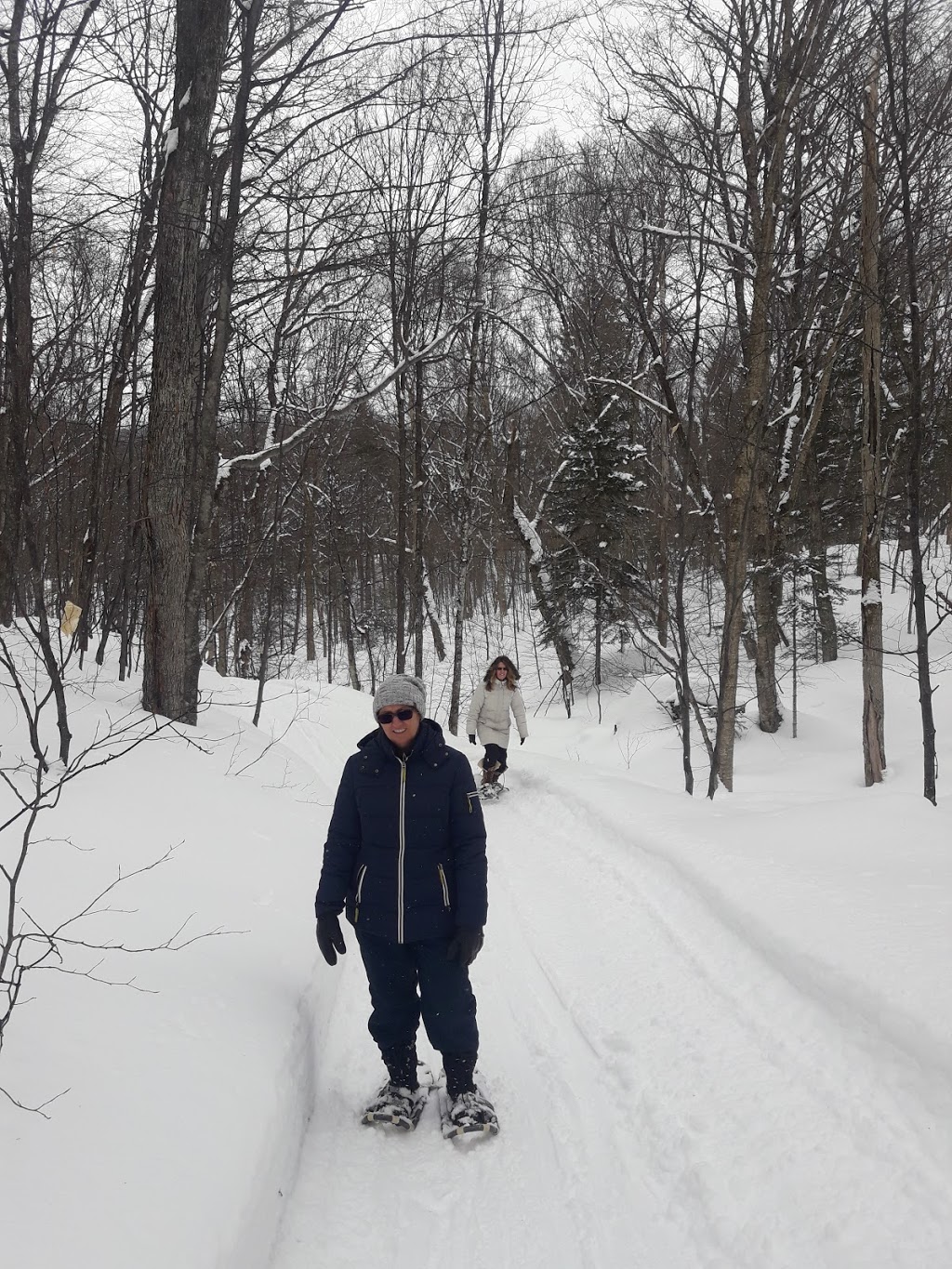 Chalet du Lac Vert | 25 Chemin de la Québécoise, Saint-Adolphe-dHoward, QC J0T 2B0, Canada | Phone: (514) 942-4825
