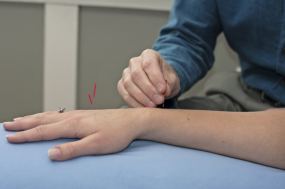 Edward Sanderson Acupuncture & Health Coaching | 4898 Manson Ave, Powell River, BC V8A 3N7, Canada | Phone: (604) 485-0108