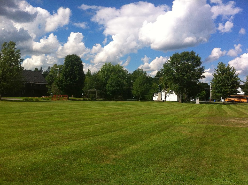 Entretien Anderson Services | 1308 Chemin Magenta, Bromont, QC J2L 1X3, Canada | Phone: (450) 521-5660