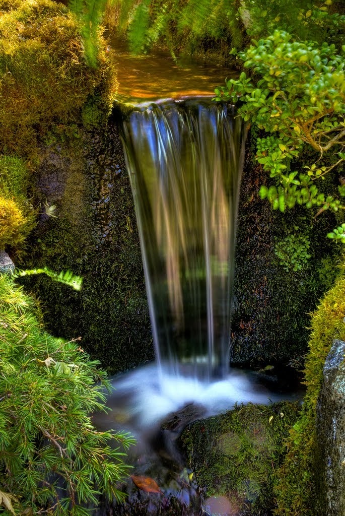 Japanese Garden | Brentwood Bay, BC V8M 1A6, Canada