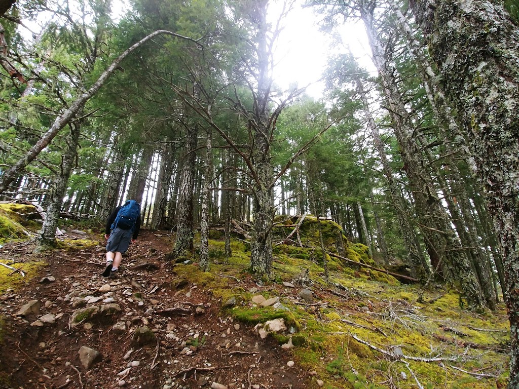 Sea to Sea Regional Park | Harbourview Rd, Sooke, BC V9C 4C1, Canada