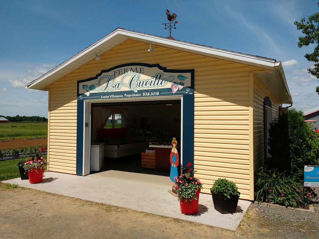 Ferme La Cueille | 574 Chemin des Dalles, Saint-Étienne-des-Grès, QC G0X 2P0, Canada | Phone: (819) 535-3015