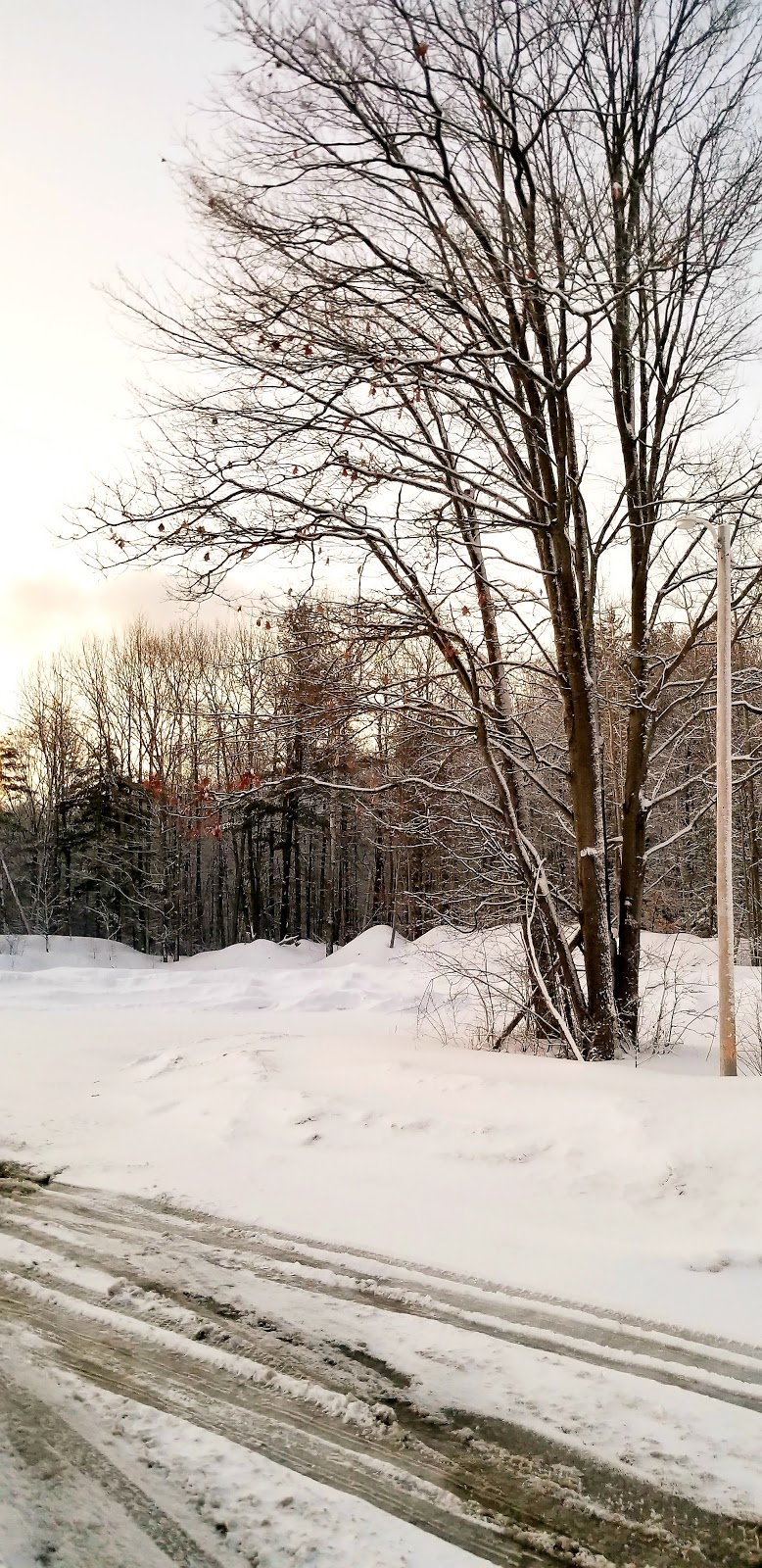 Skyways Motel | 3566 ON-11, Gravenhurst, ON P1P 1R1, Canada | Phone: (705) 687-6608