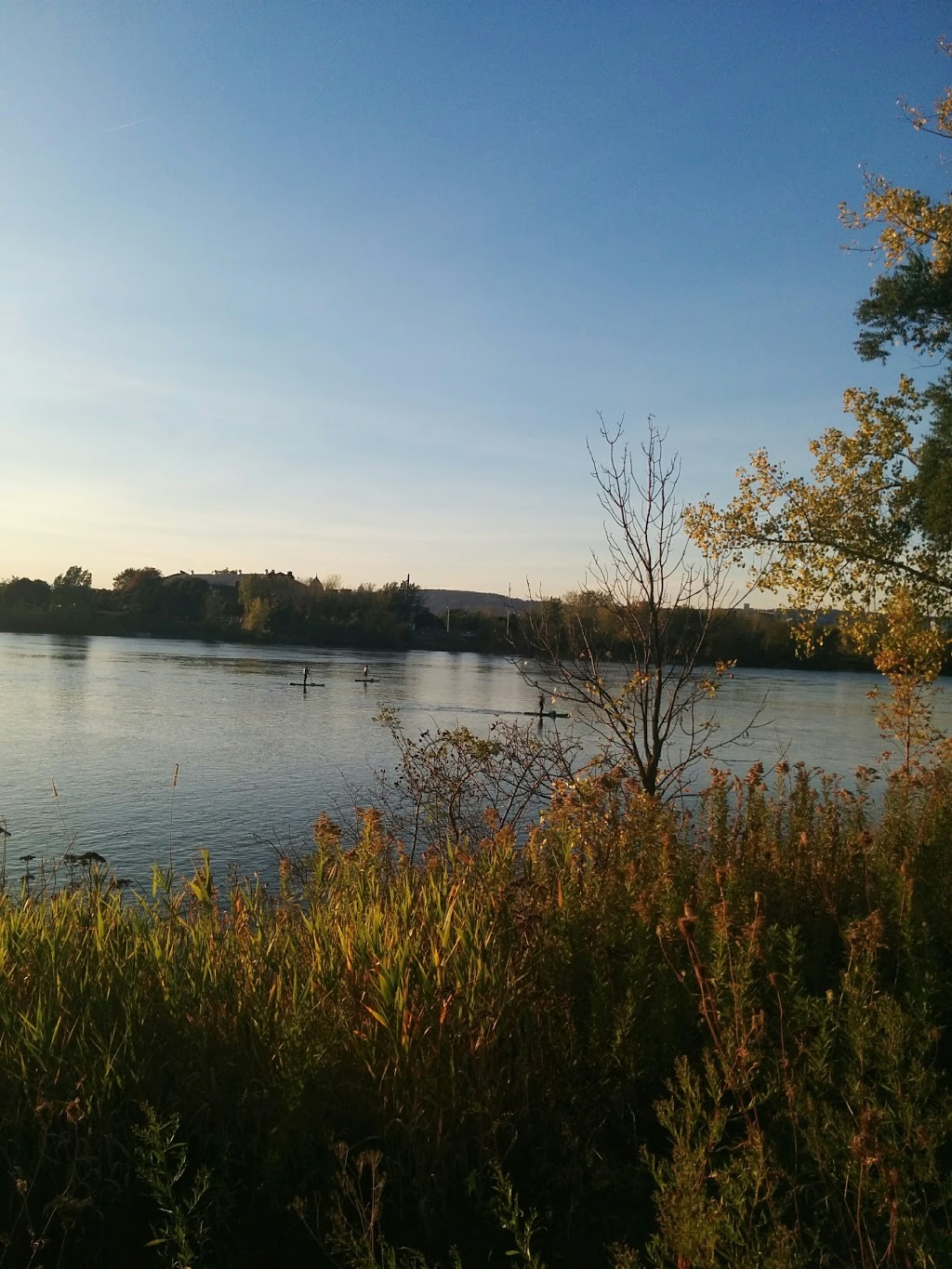 Parc Du Club Marin | 201 Chemin du Club Marin, Verdun, QC H3E 1T4, Canada
