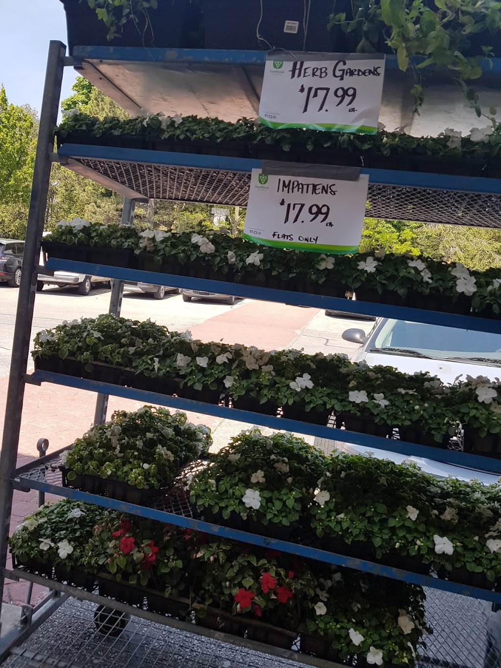 Thorncrest Plaza | 1500 Islington Ave, Etobicoke, ON M9A 3L8, Canada